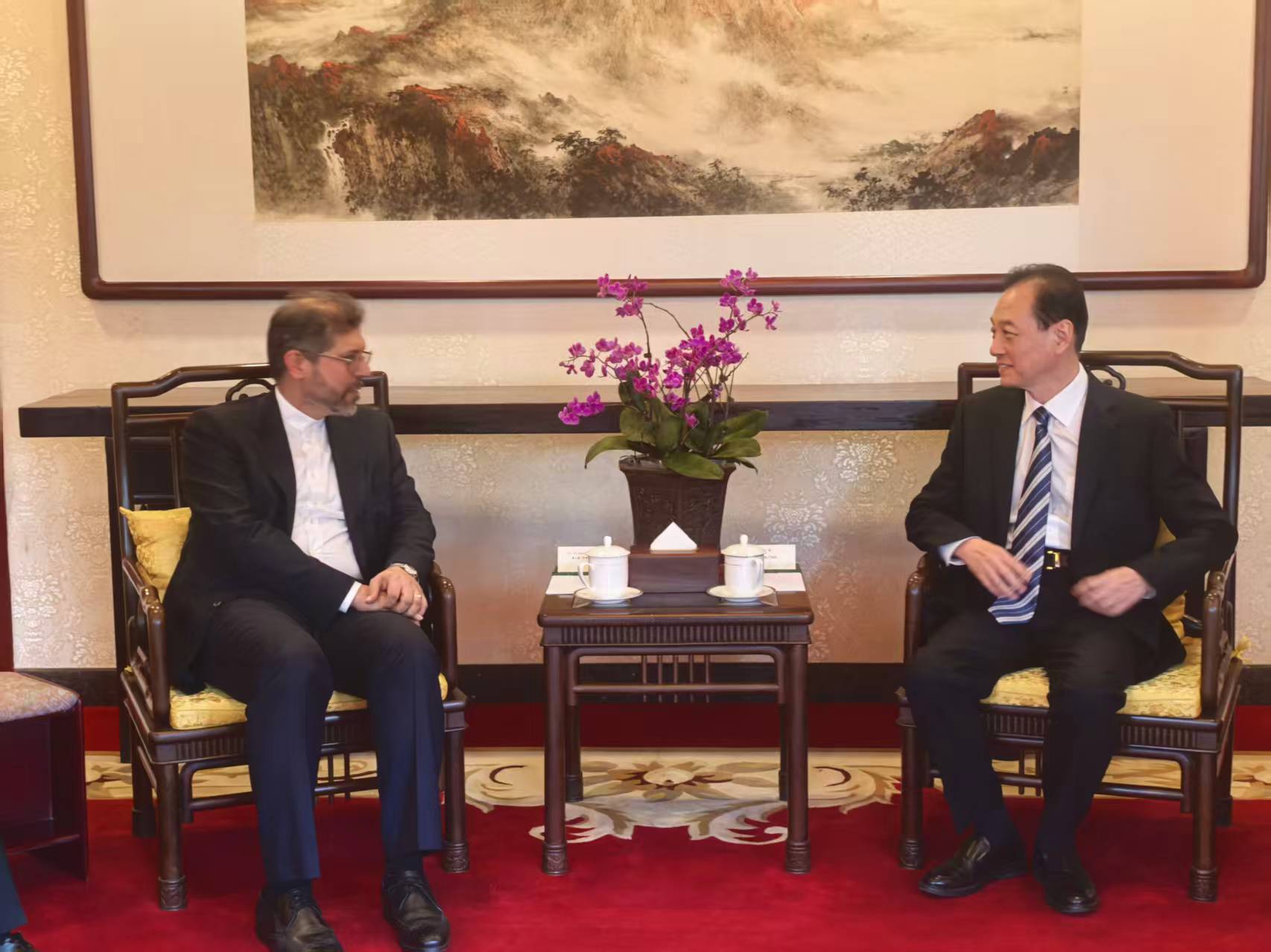CPIFA President Wang Chao Meets with Iranian Deputy Foreign Minister and President of IPIS Saeid Khatibzadeh
